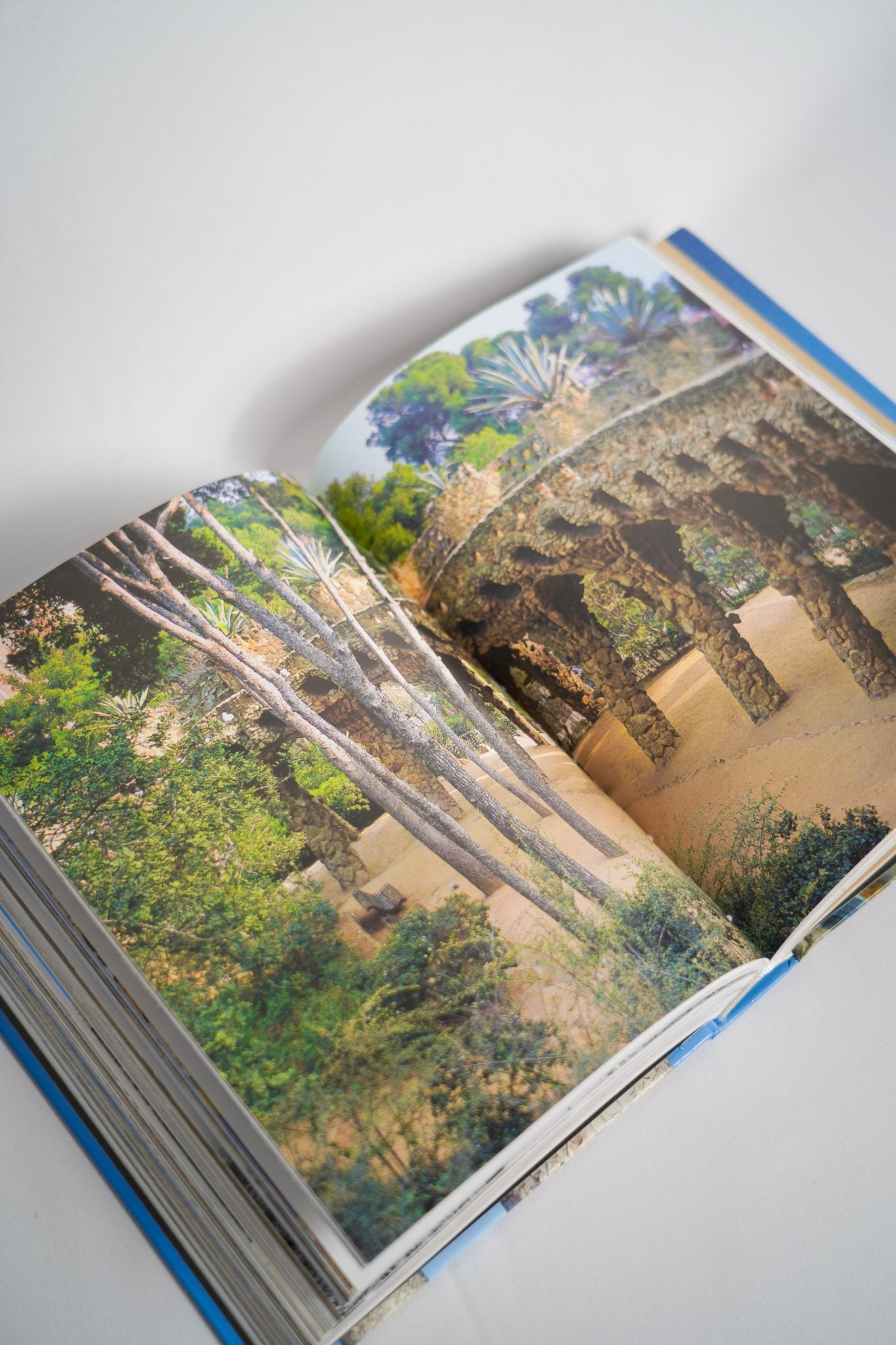 Living in Provence. 40th Ed.