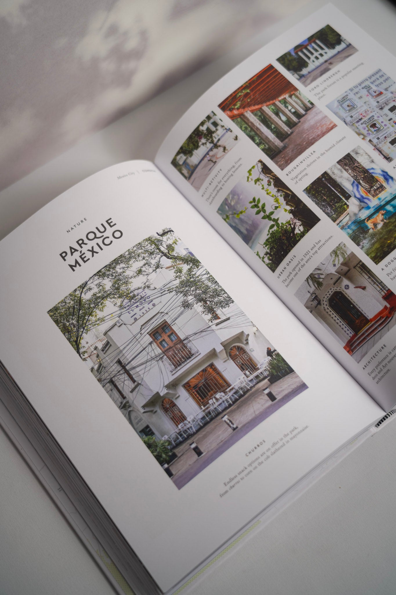 Mexico City: The Extraordinary Guide