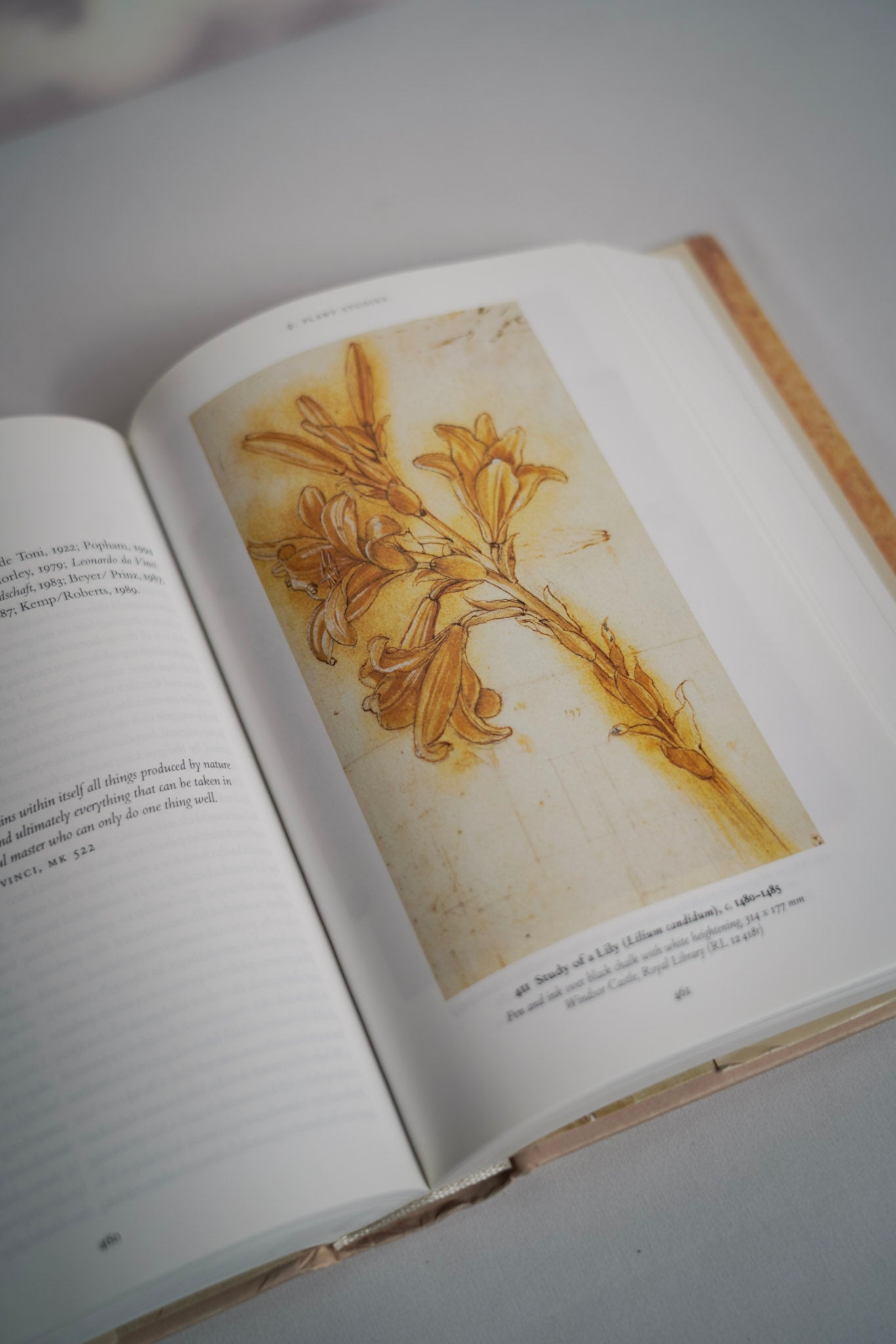 Leonardo. The Complete Drawings