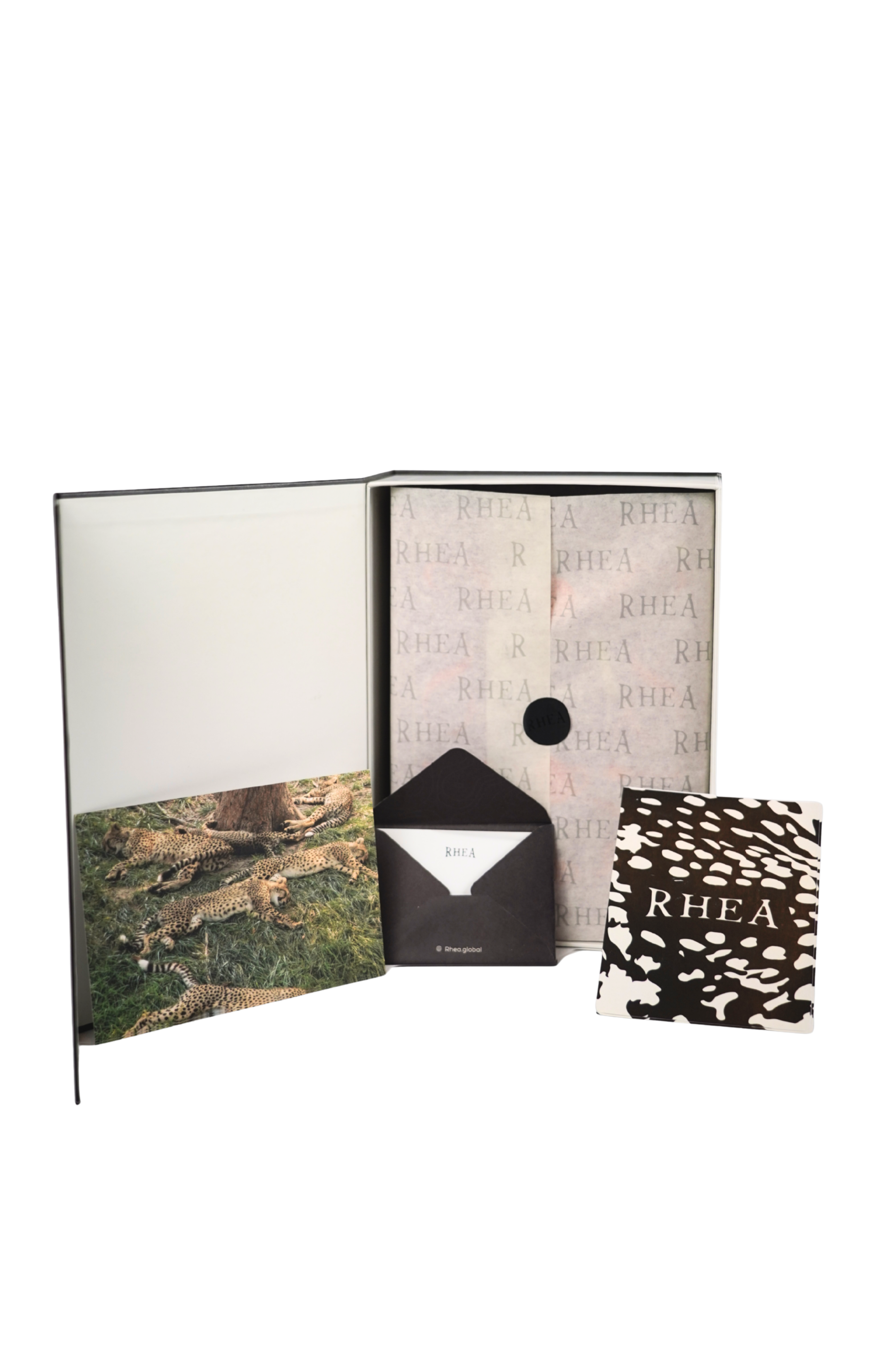 Design Monograph: Hadid