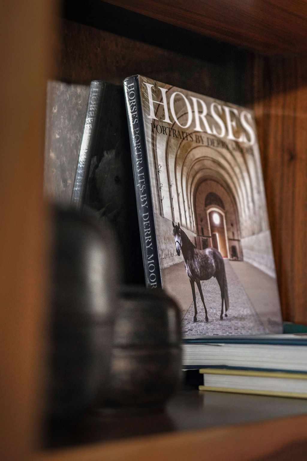 Horses: Portraits by Derry Moore
