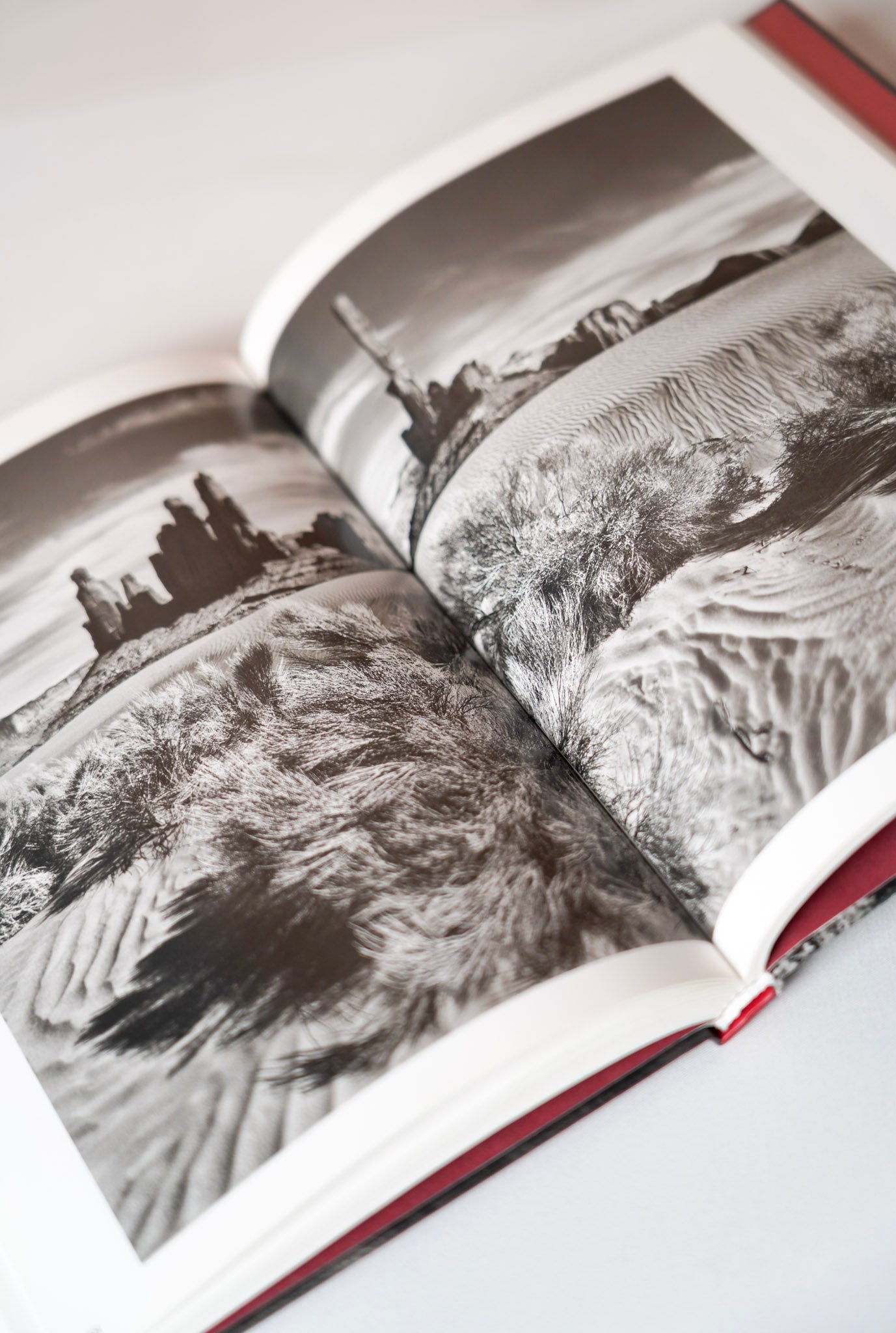 Genesis. Sebastião Salgado (Pocket Edition)