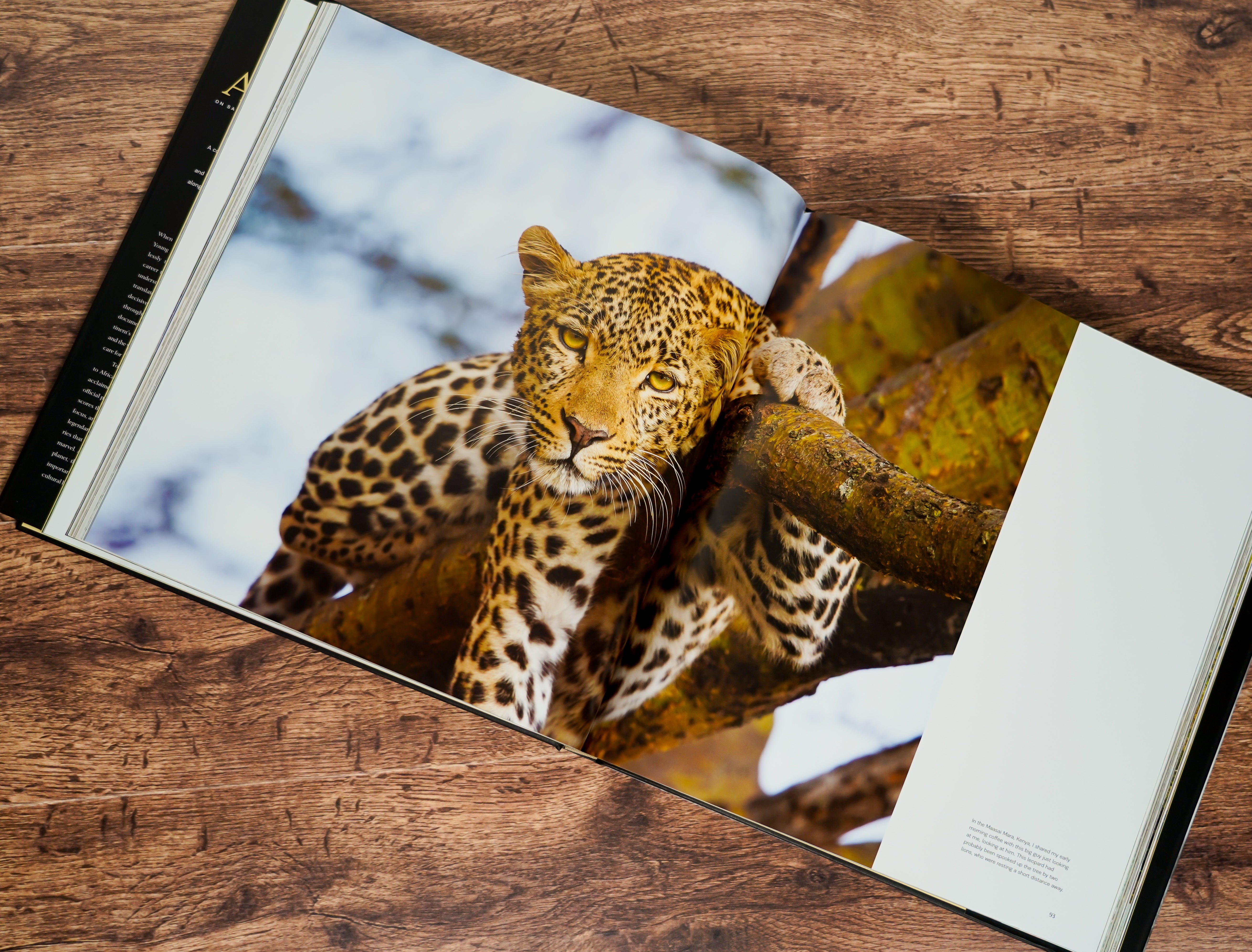 Experiencing Africa