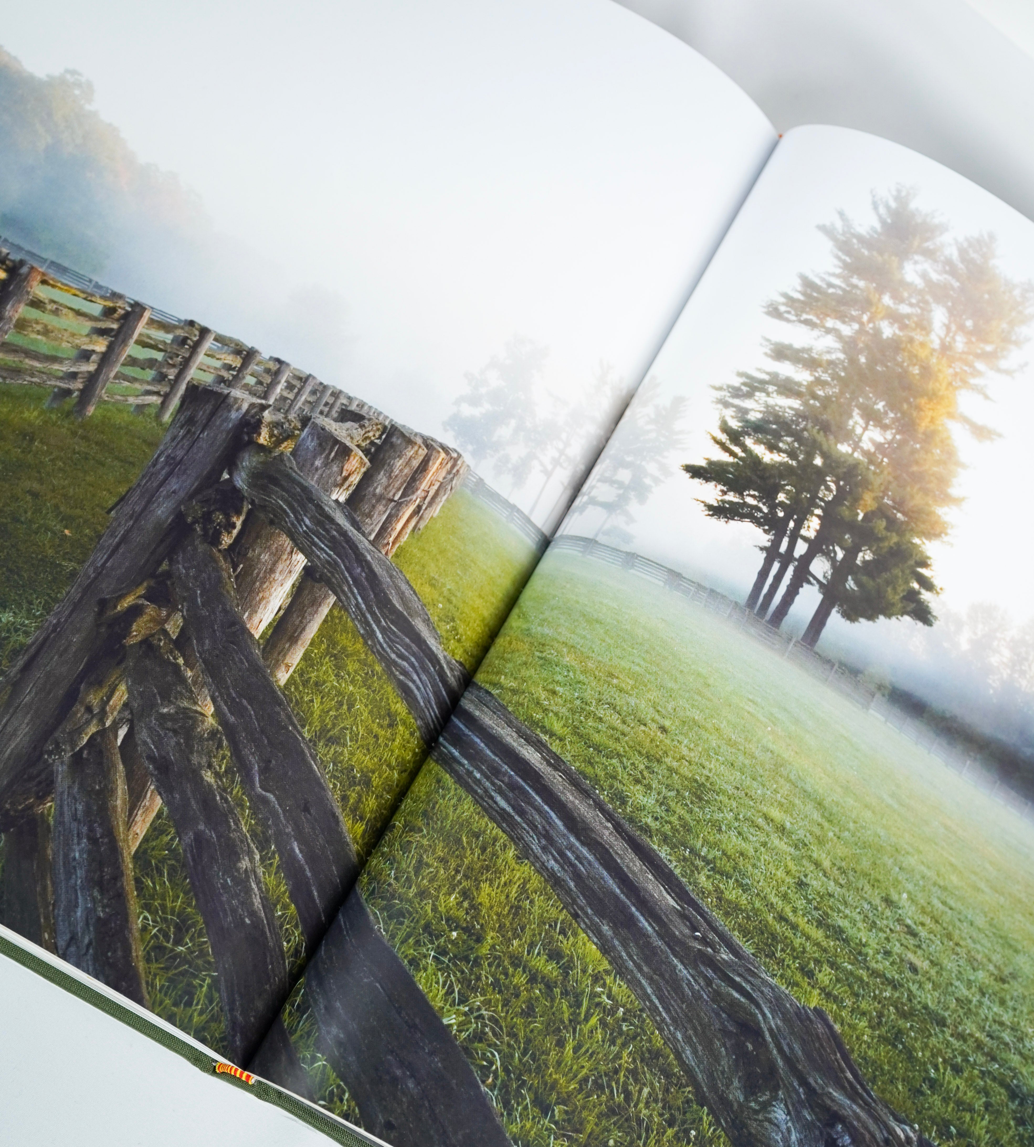 Horses: Portraits by Derry Moore