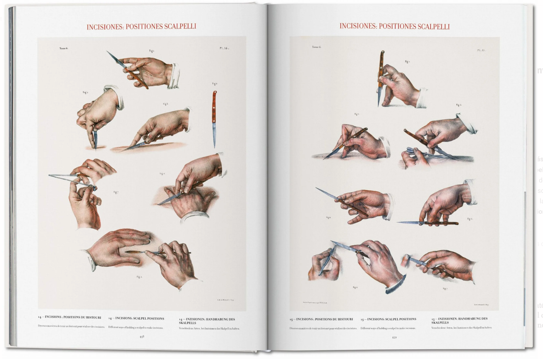 Atlas of Human Anatomy and Surgery