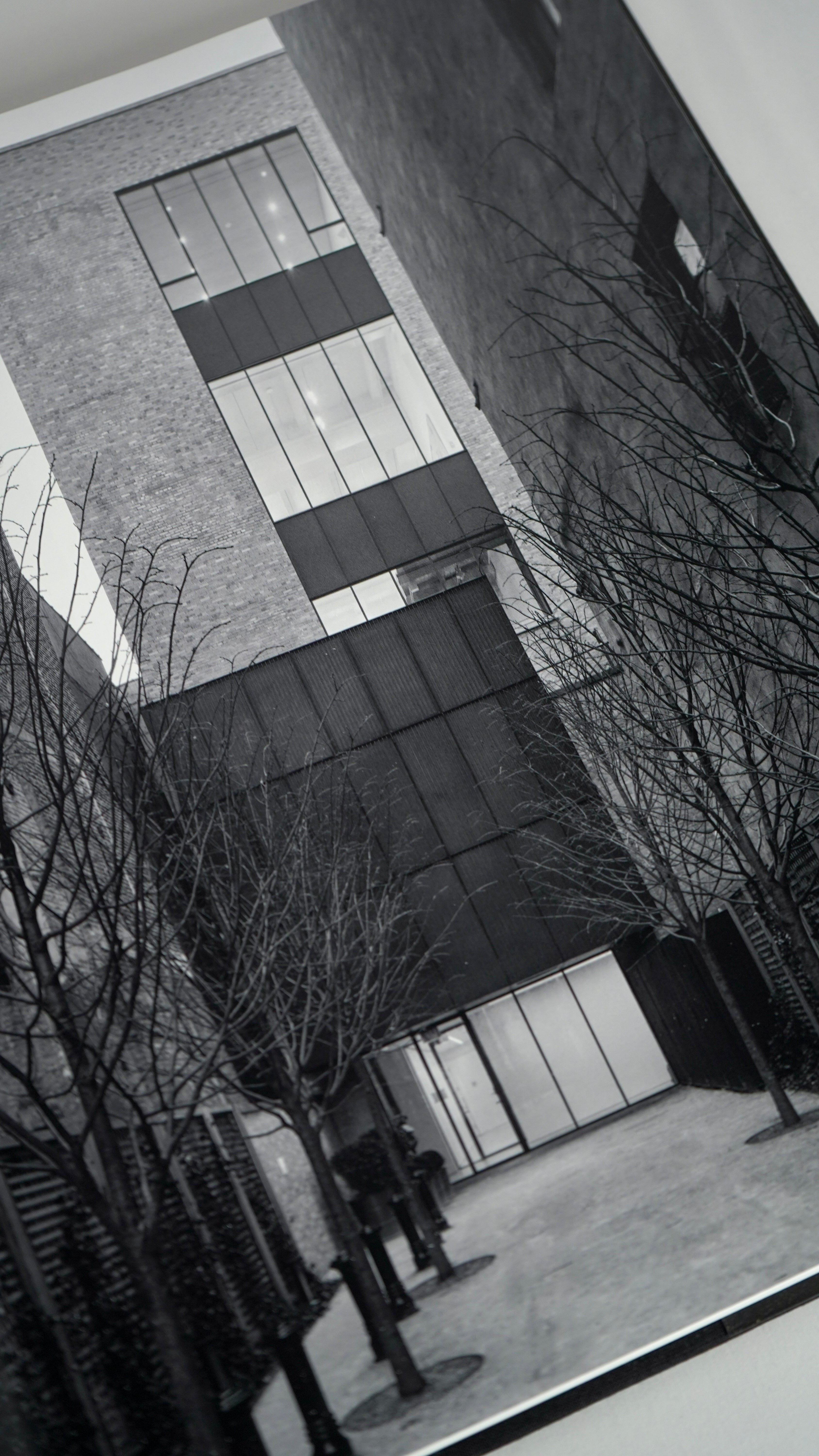 Jean-Michel Basquiat: The Iconic Works