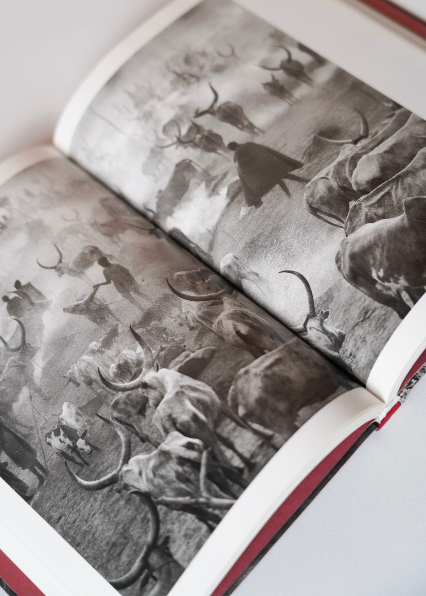 Genesis. Sebastião Salgado (Pocket Edition)