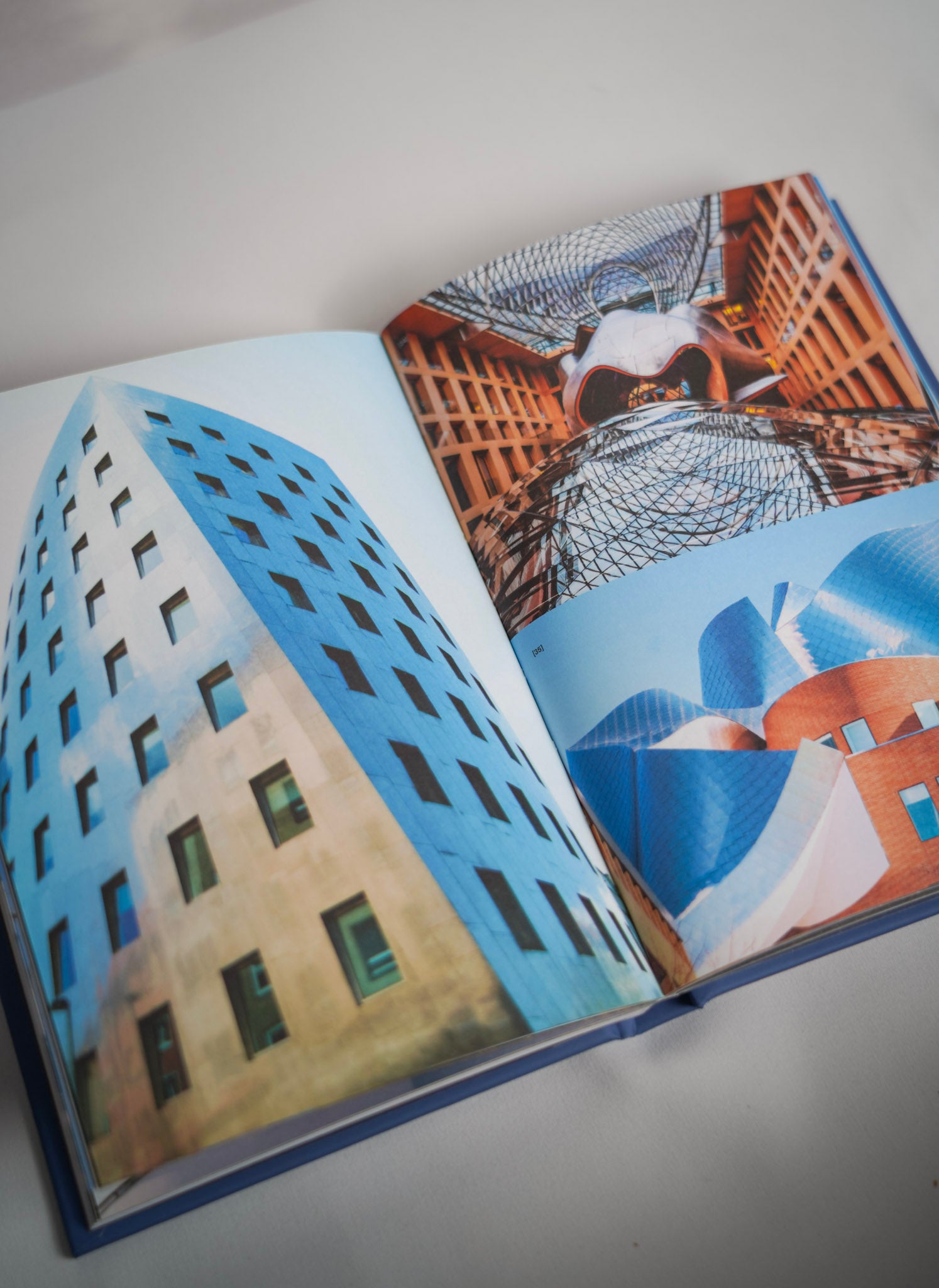 Design Monograph: Gehry