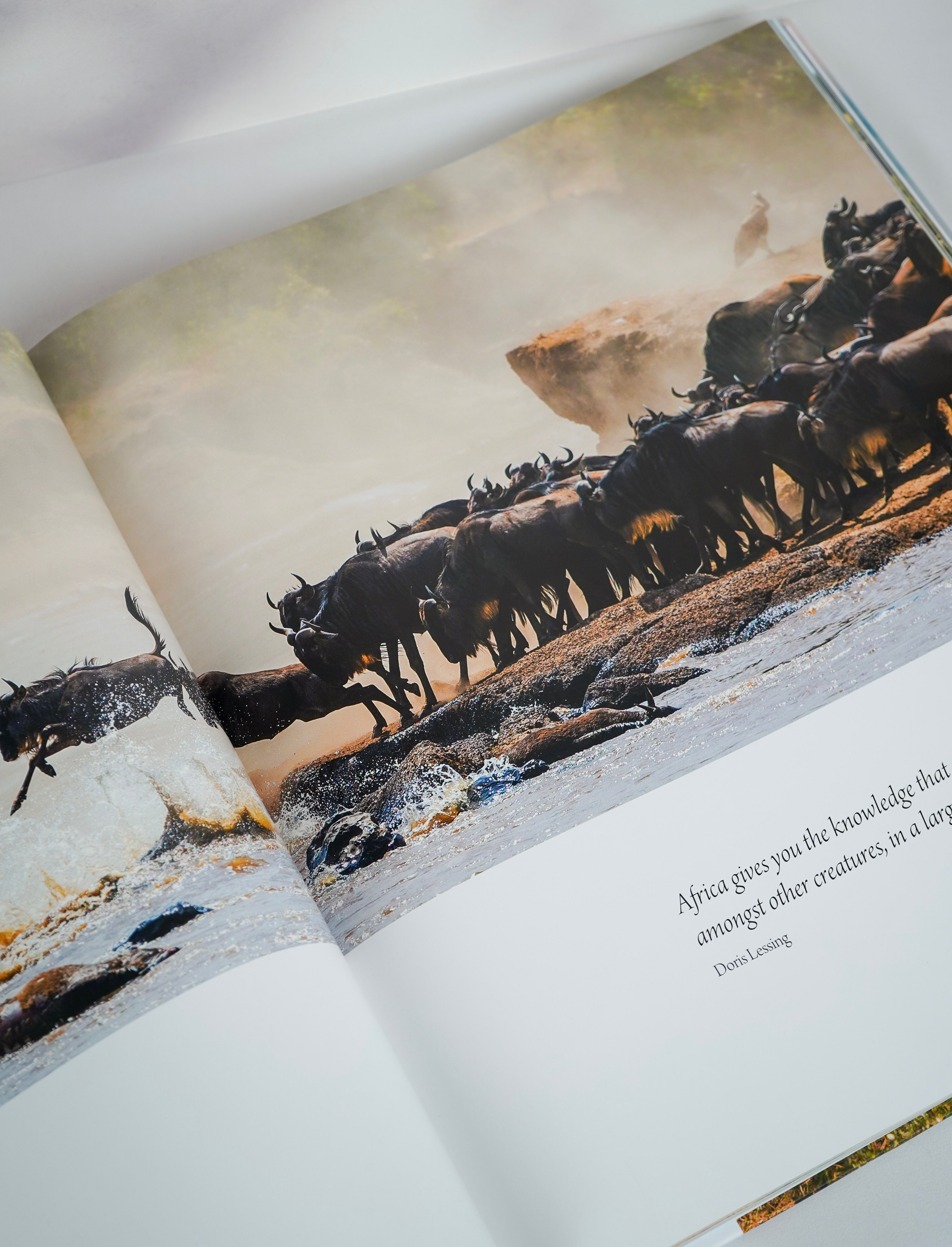 Africa: Discovering Wildlife Parks