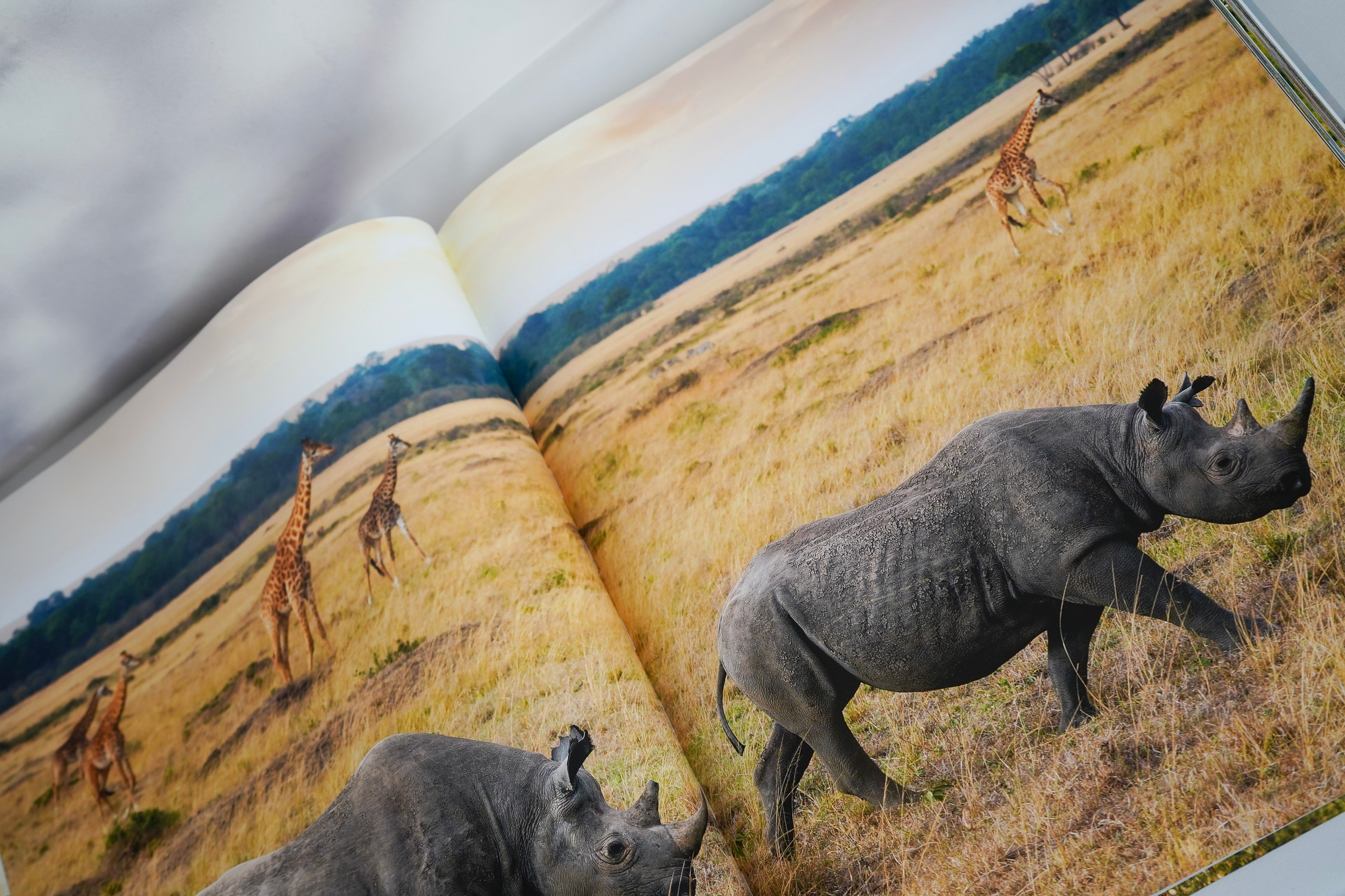 Africa: Discovering Wildlife Parks