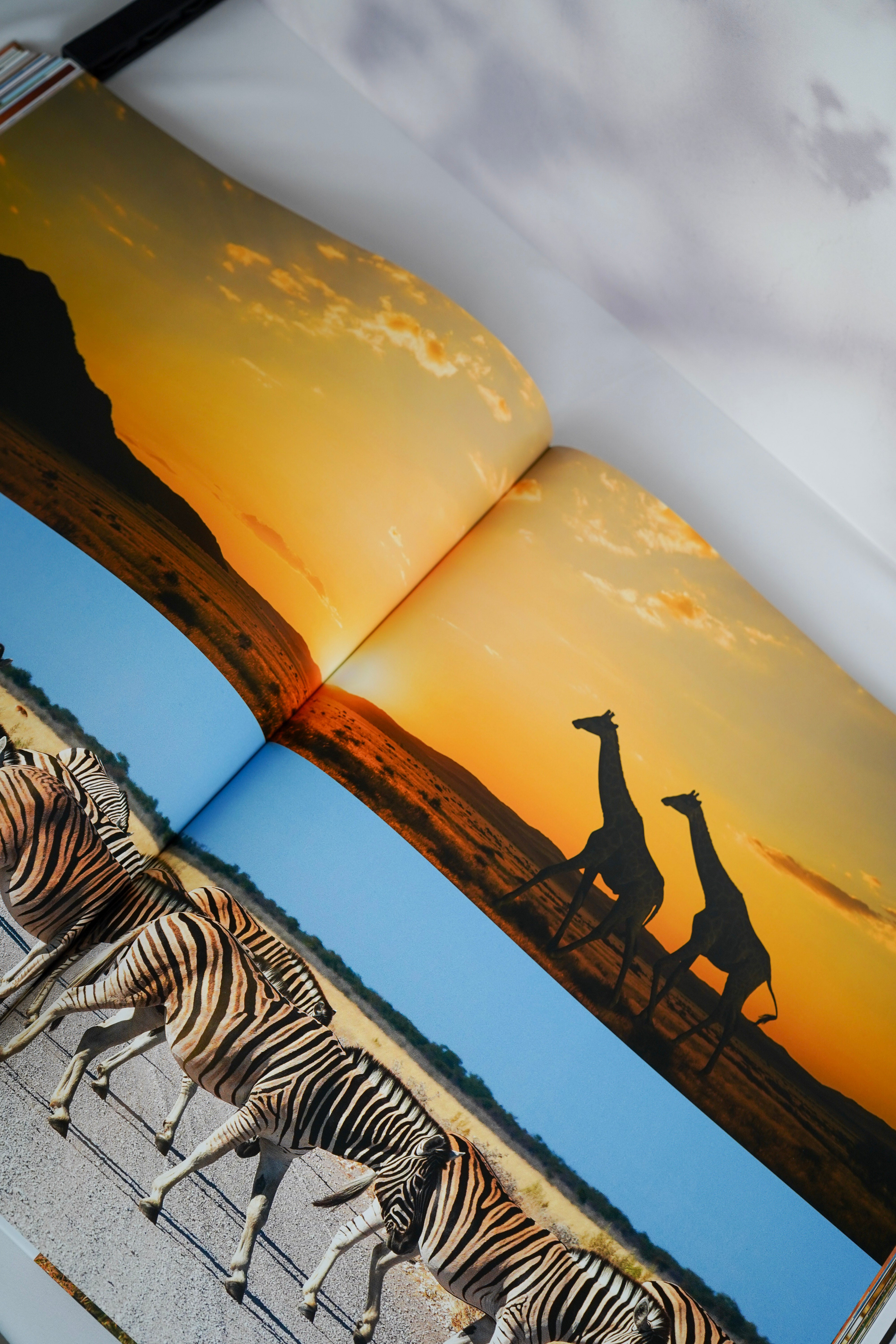 Africa: Discovering Wildlife Parks