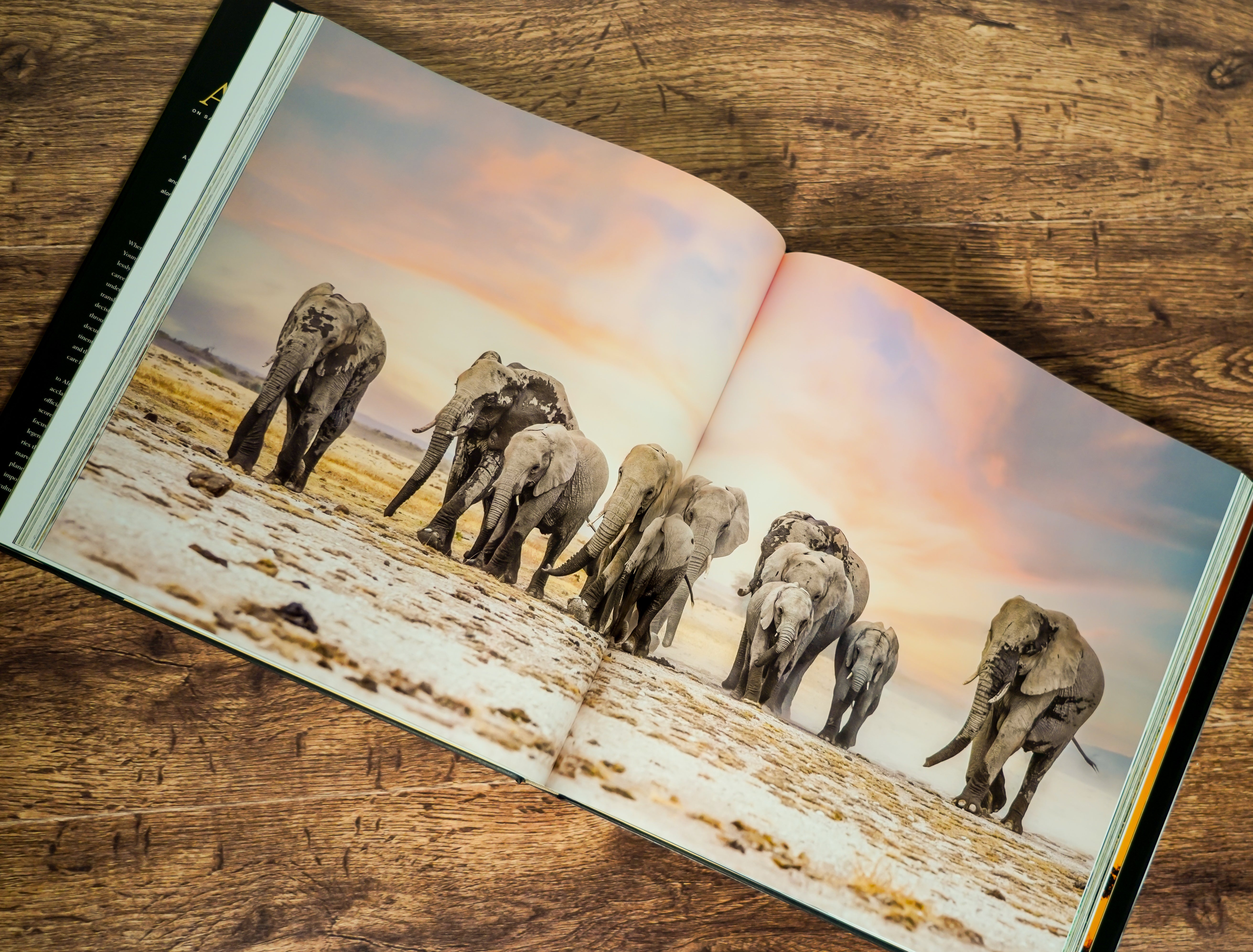 Experiencing Africa