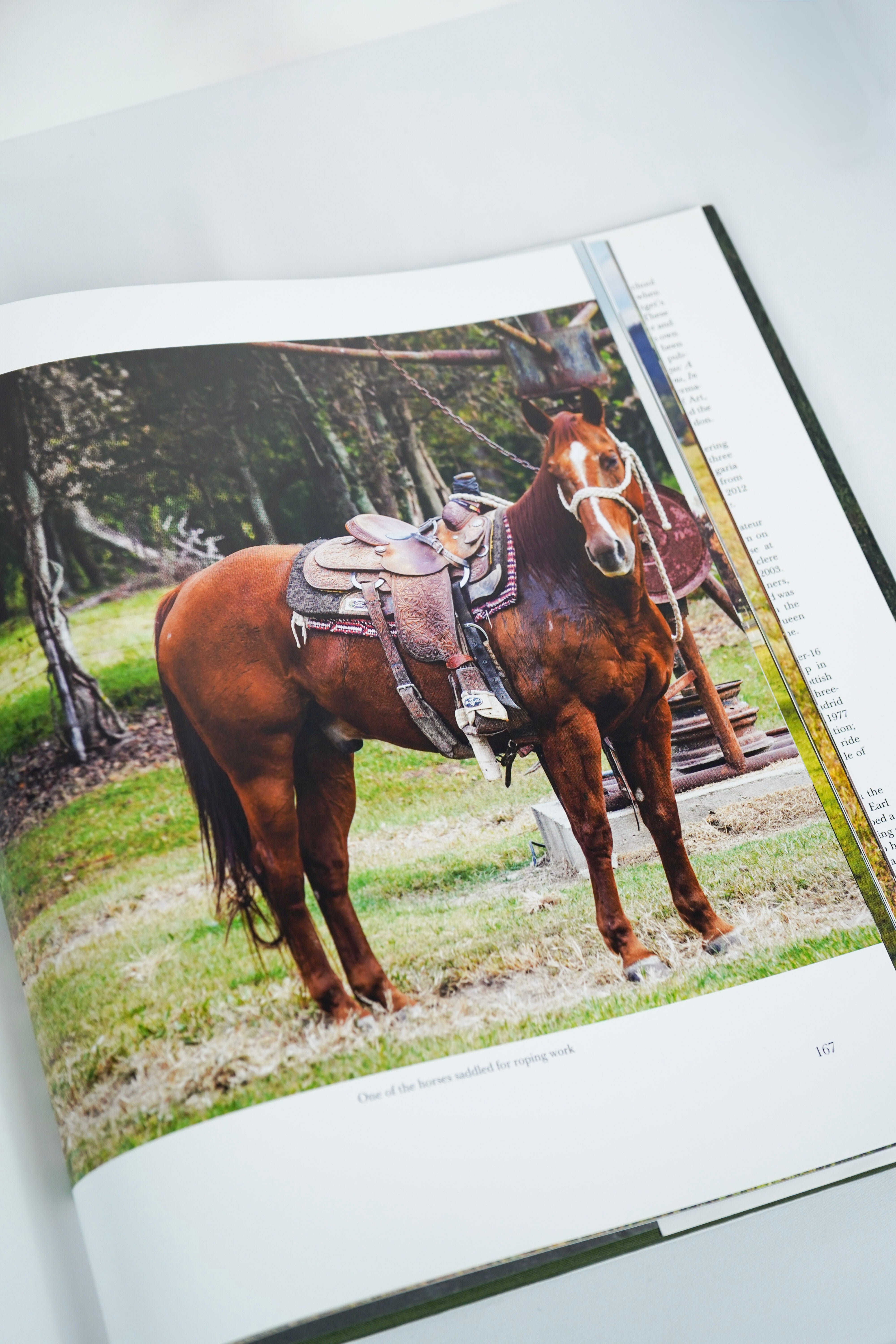 Horses: Portraits by Derry Moore