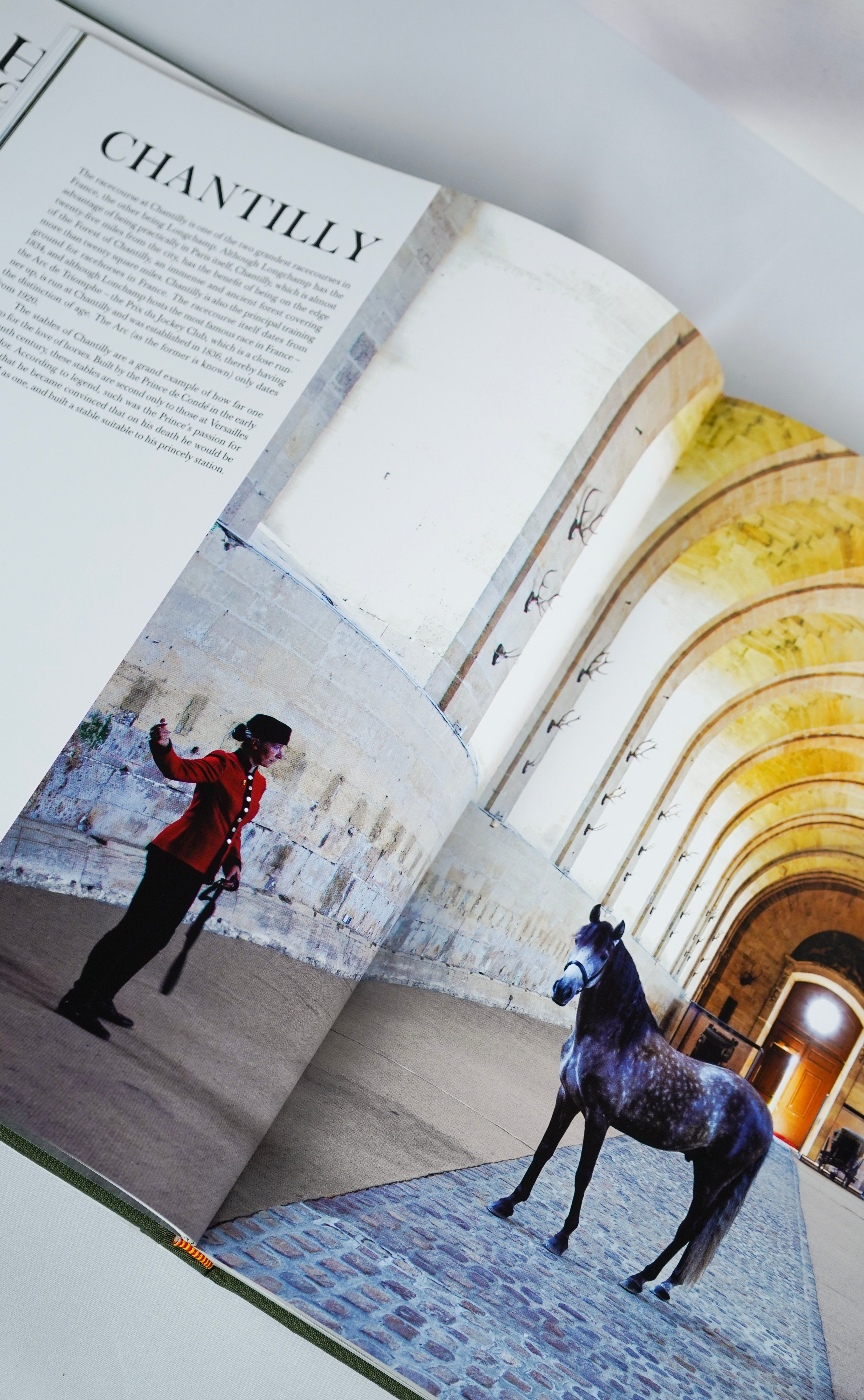 Horses: Portraits by Derry Moore