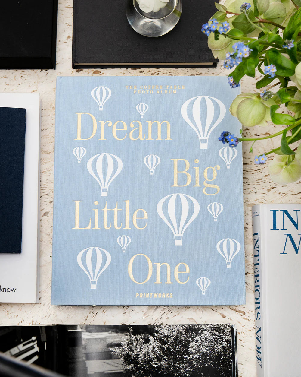 Dream Big Little One, Azul