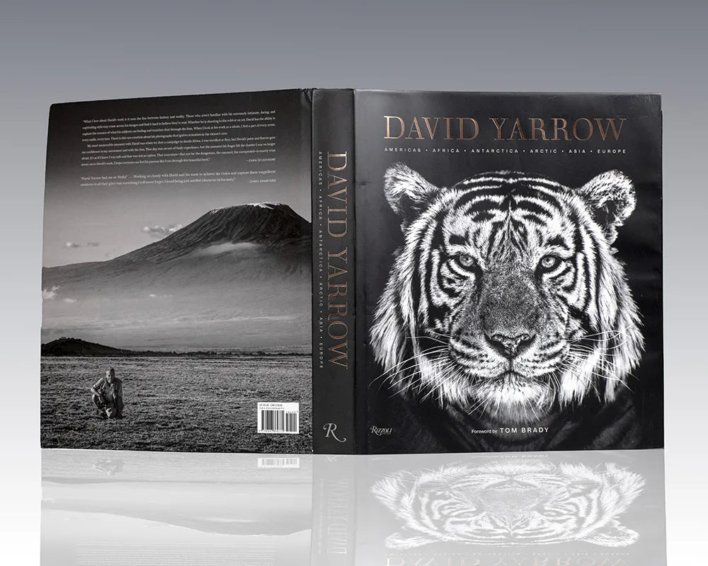 David Yarrow Photography