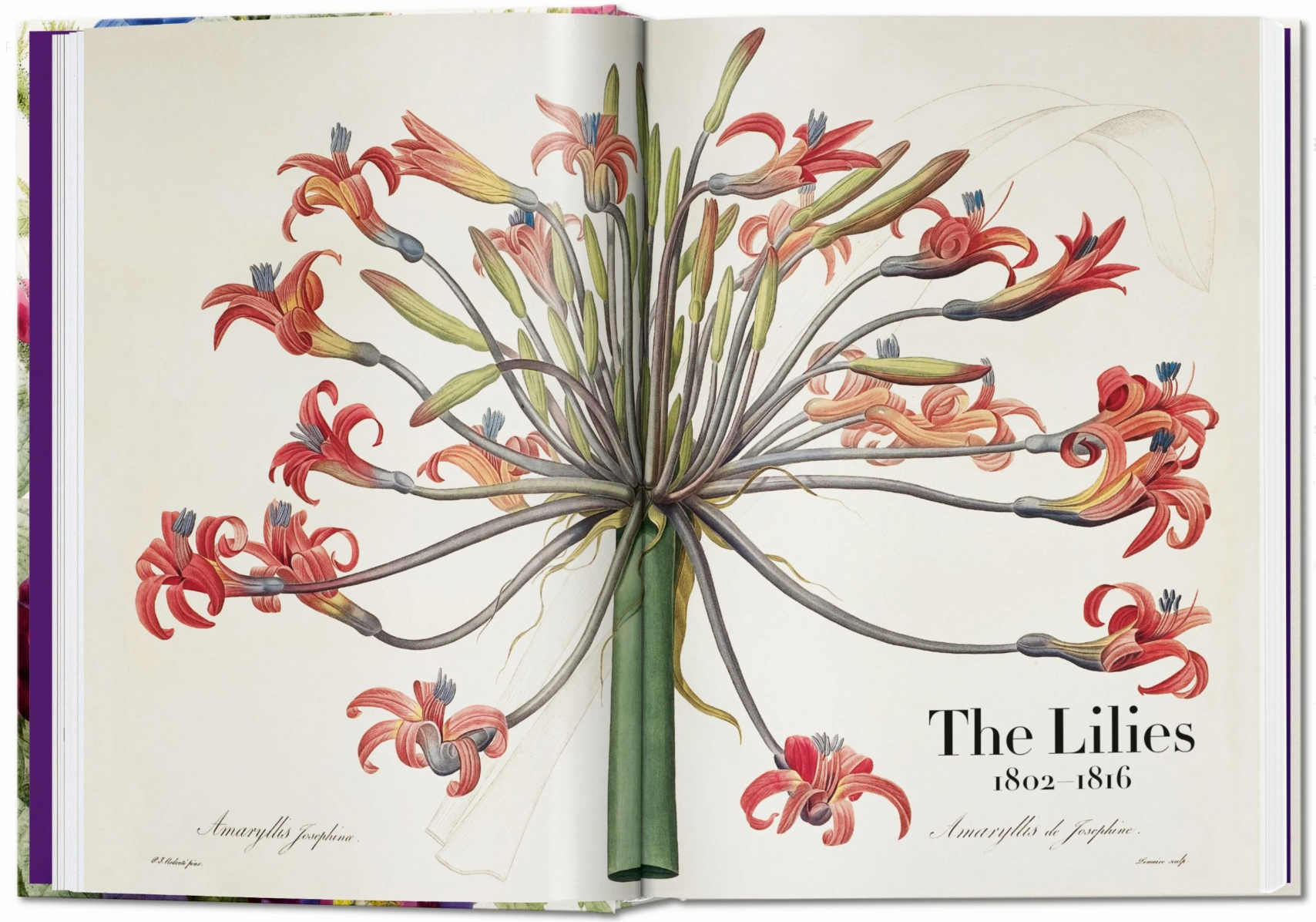 Redouté. The Book of Flowers. 40th Ed.