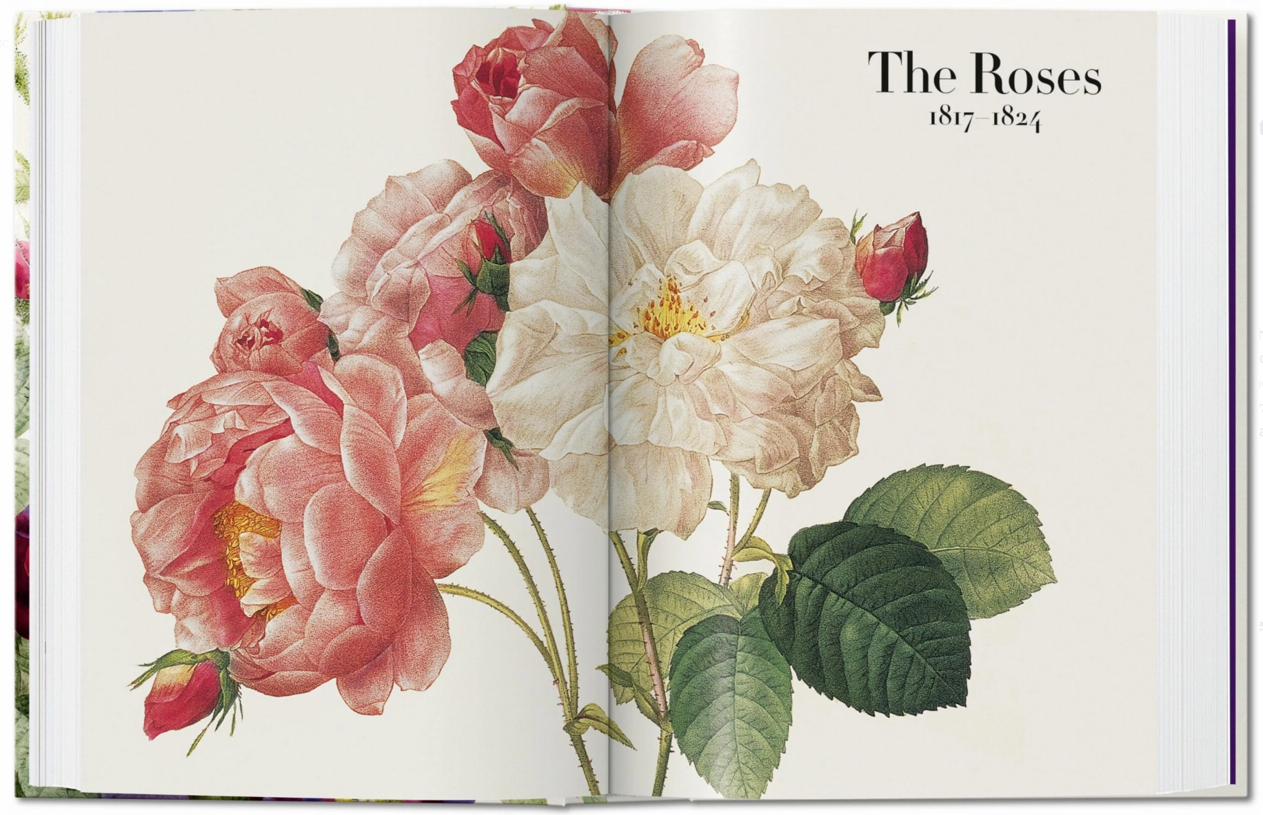 Redouté. The Book of Flowers. 40th Ed.