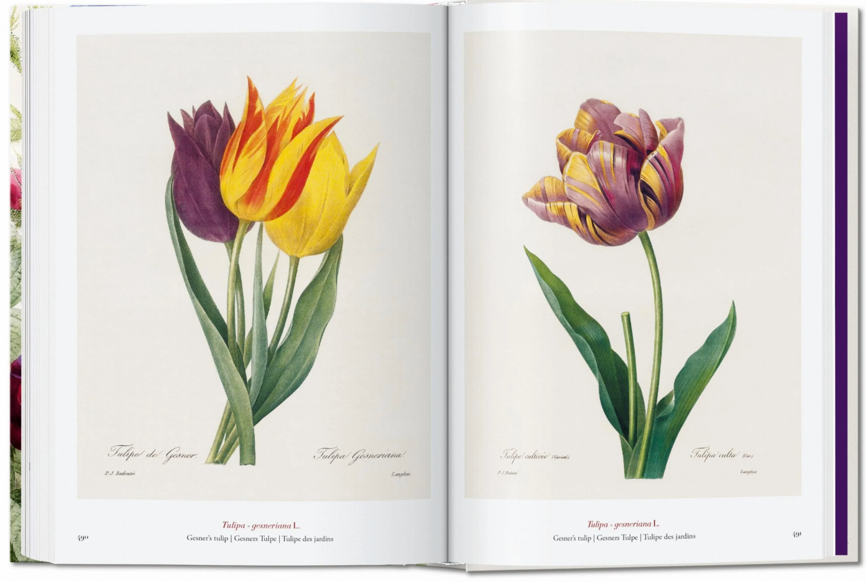 Redouté. The Book of Flowers. 40th Ed.