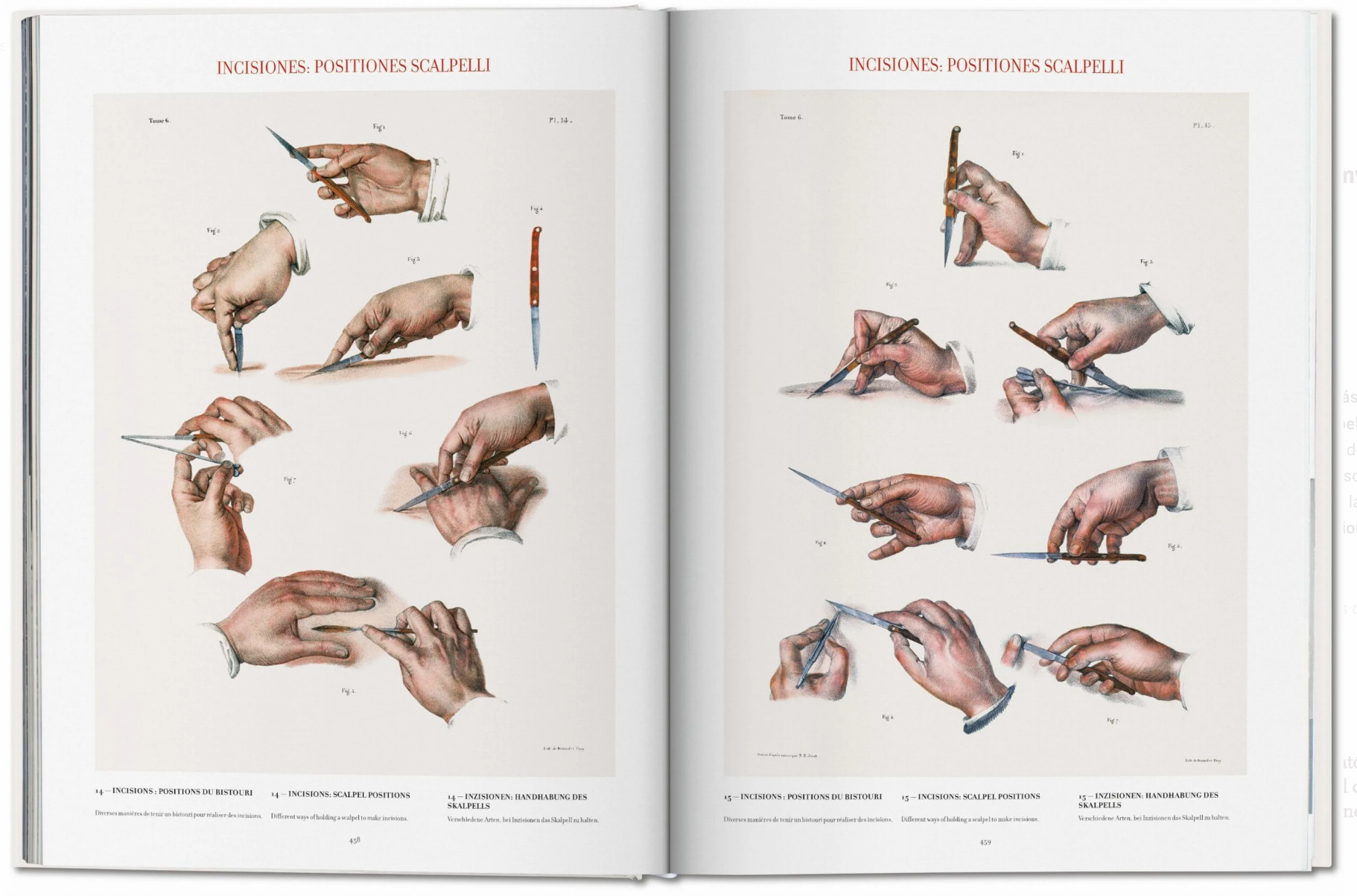 Bourgery. Atlas of Human Anatomy and Surgery