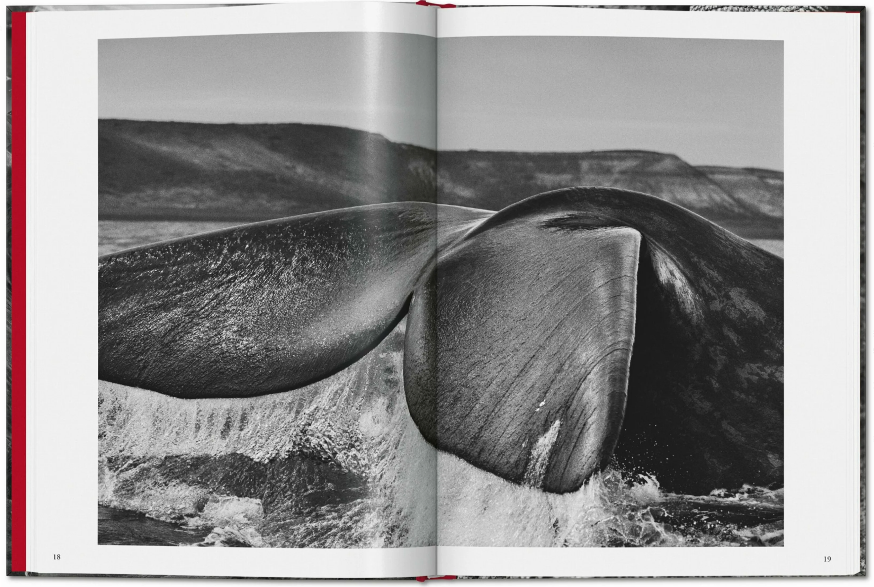 Genesis. Sebastião Salgado (Pocket Edition)