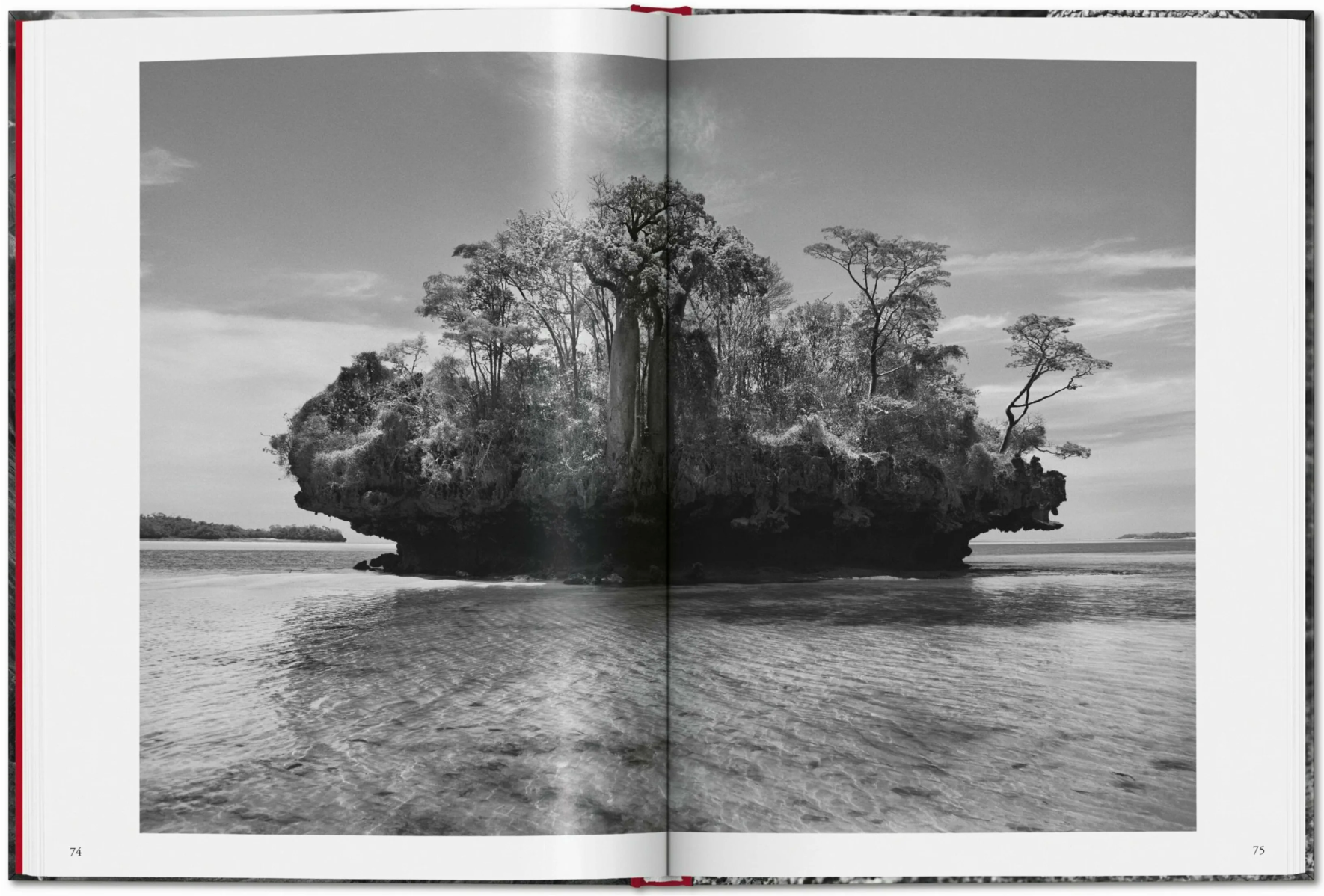 Genesis. Sebastião Salgado (Pocket Edition)