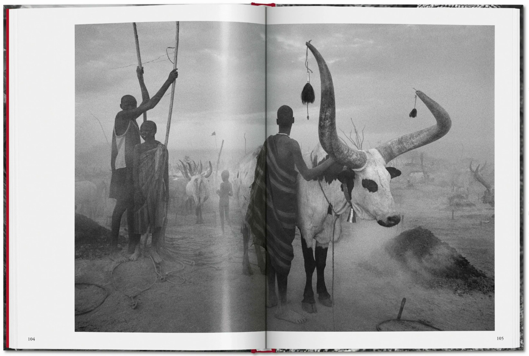 Genesis. Sebastião Salgado (Pocket Edition)