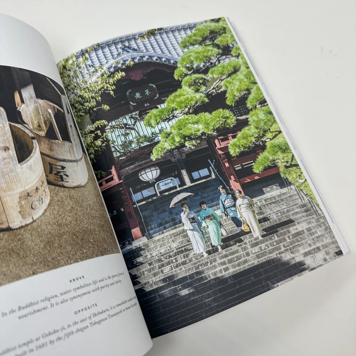 Tokyo: The Extraordinary Guide