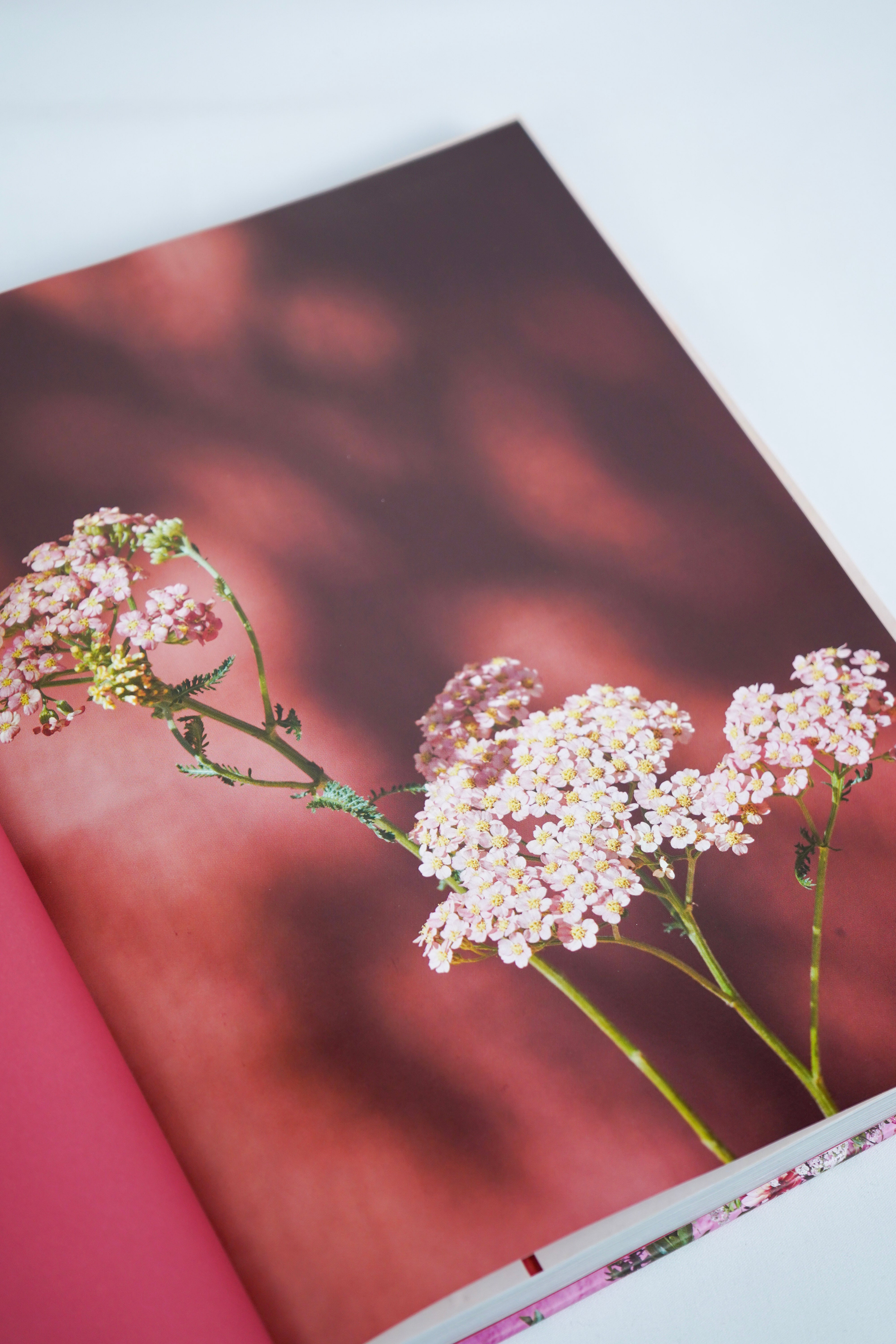 The Artistry of Flowers