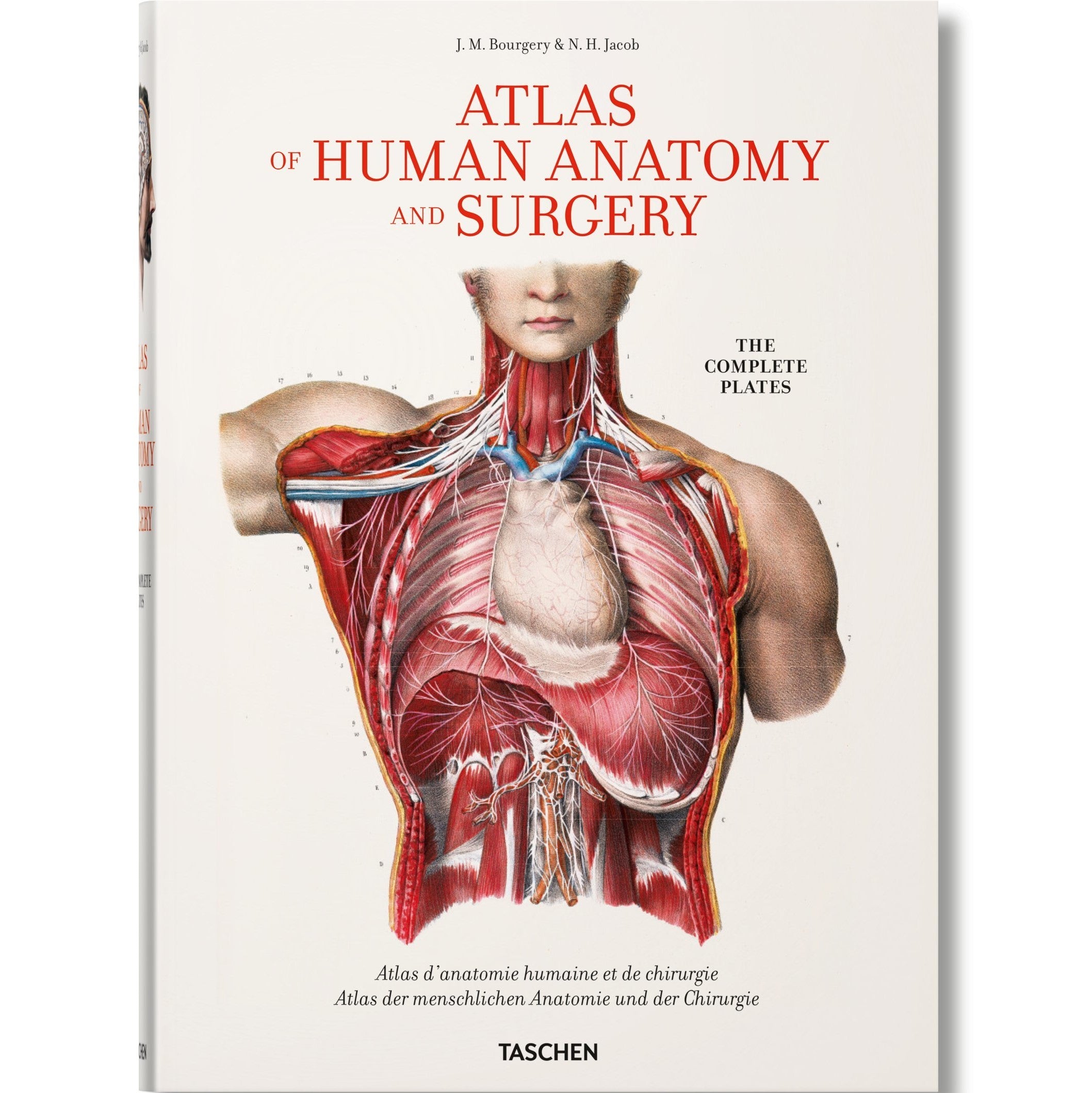 Bourgery. Atlas of Human Anatomy and Surgery